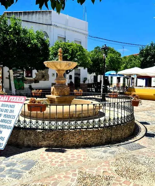 Terraza plaza constitucion El Ronquillo